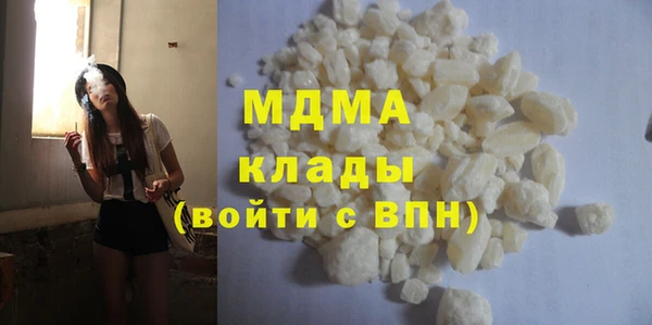 хмурый Аркадак