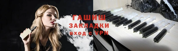 хмурый Аркадак