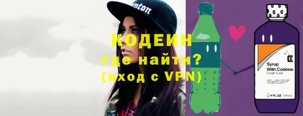 хмурый Аркадак
