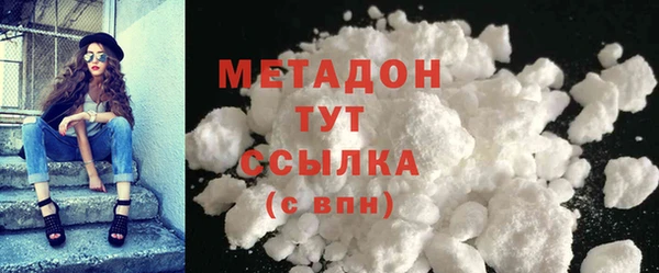 хмурый Аркадак
