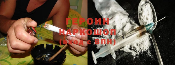 хмурый Аркадак