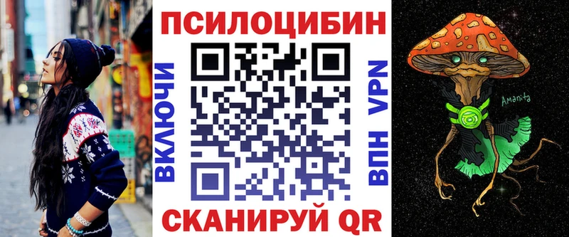 Псилоцибиновые грибы Psilocybe Великий Устюг