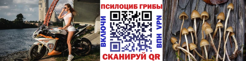 Псилоцибиновые грибы Magic Shrooms  Великий Устюг 